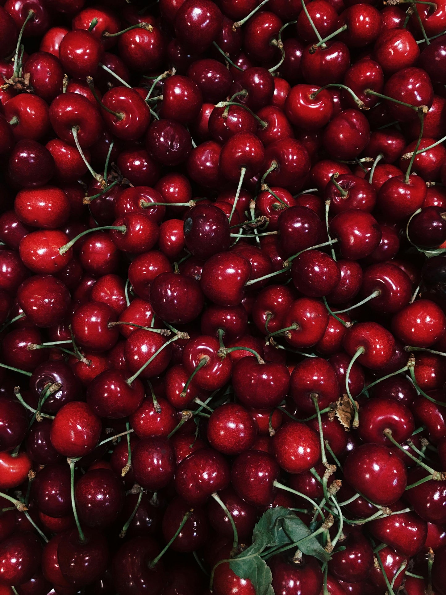 Velvet Cherry
