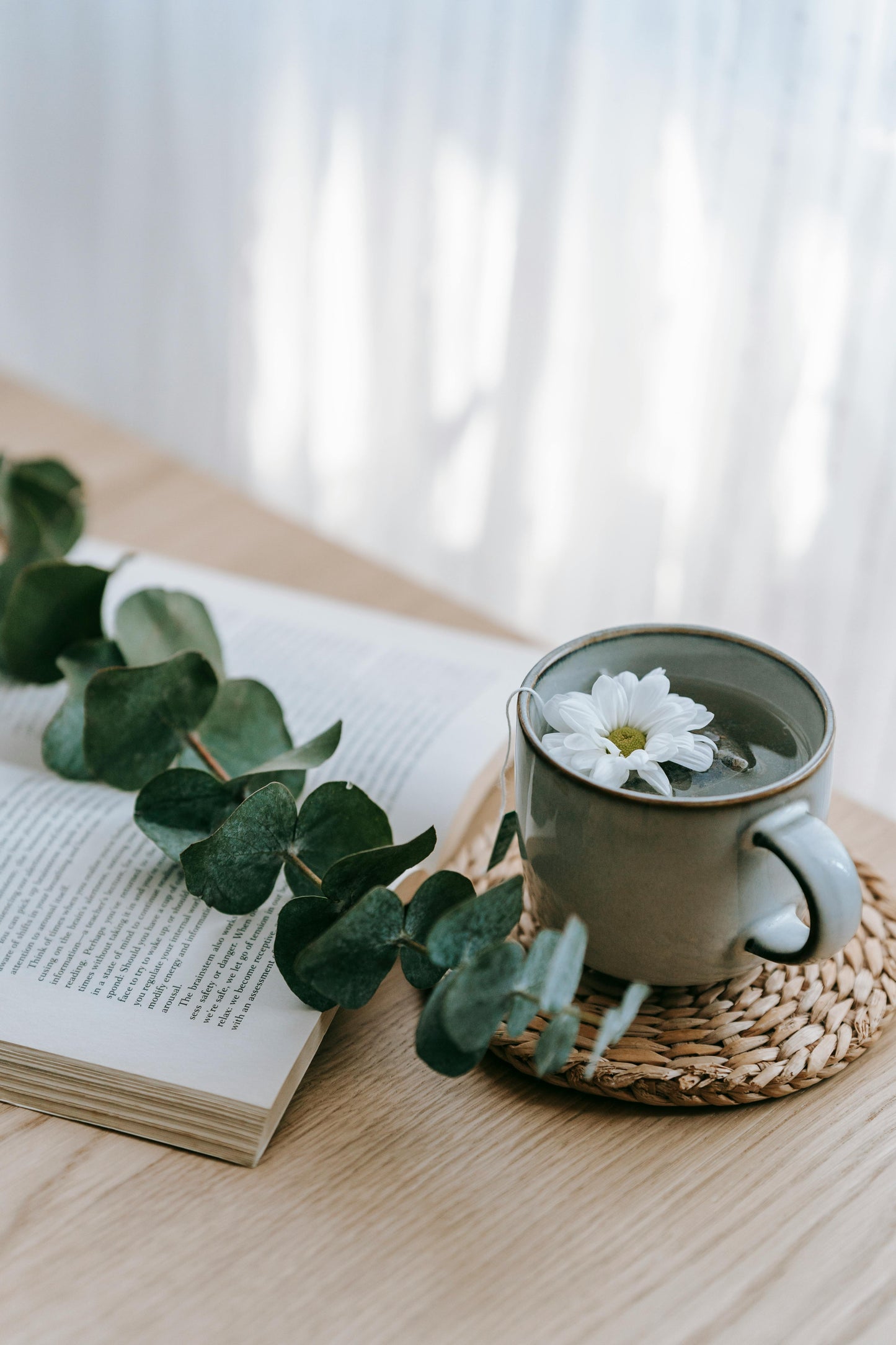 Eucalyptus and Spearmint